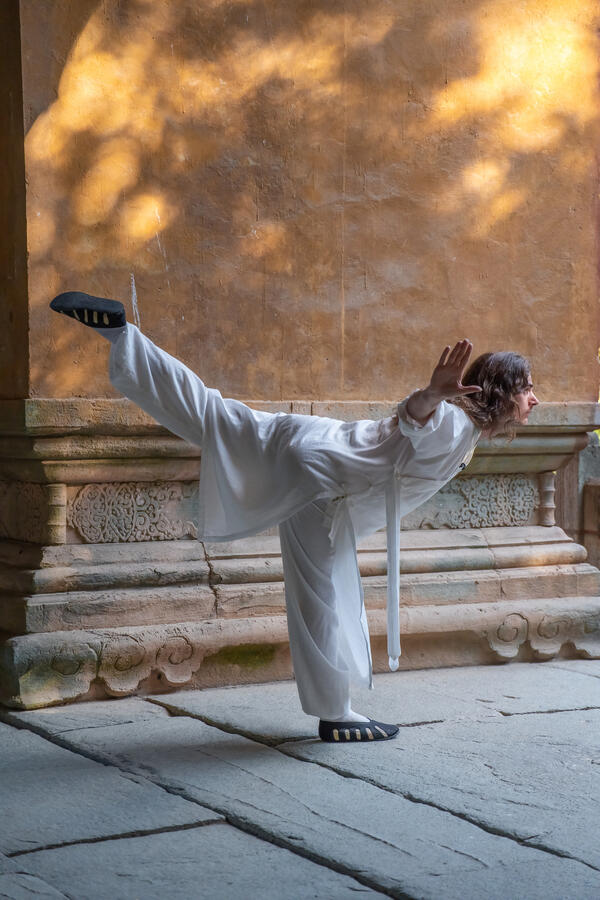 Wudang Five Animals Qi Gong (Crane) Wudang Five Animals Qi Gong (Crane)